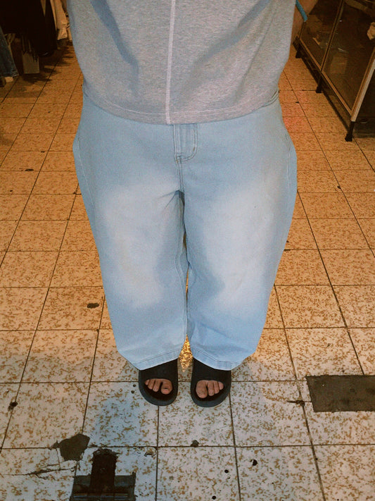 BAGGY METAMORPHOSIS 1